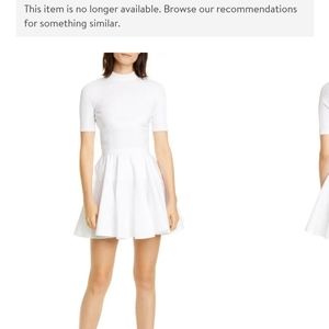 Alexander wang fit & flare mini dress NWT